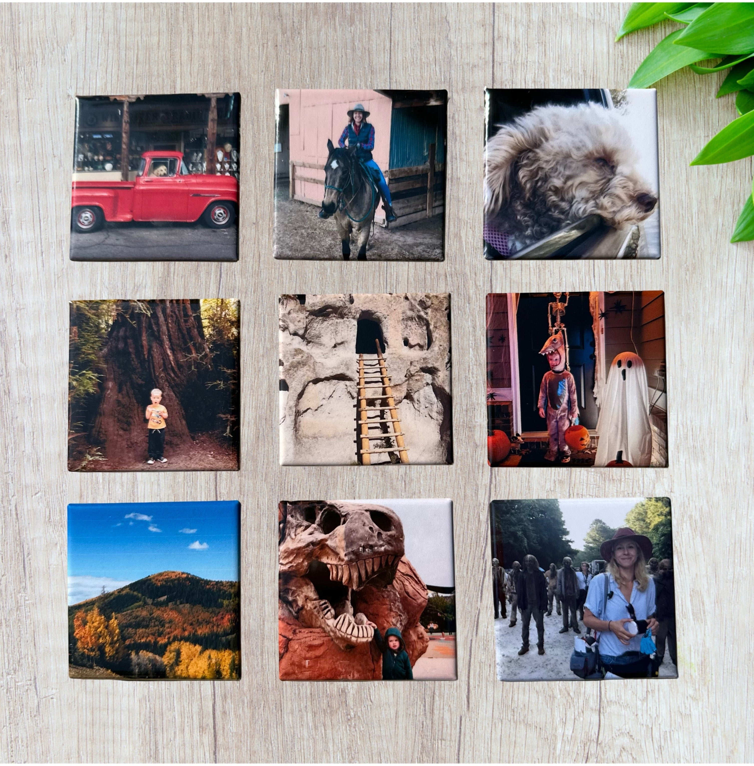 9 Custom Photo Magnets